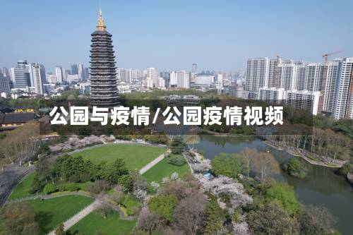 公园与疫情/公园疫情视频-第2张图片