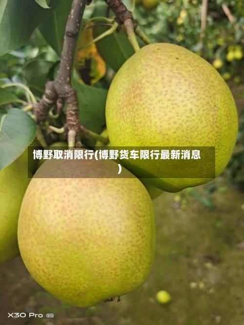博野取消限行(博野货车限行最新消息)