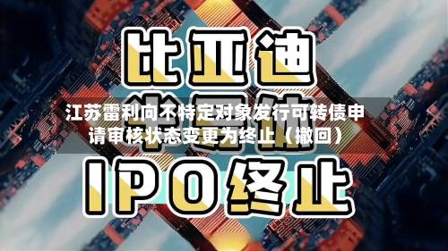 江苏雷利向不特定对象发行可转债申请审核状态变更为终止(撤回)-第2张图片