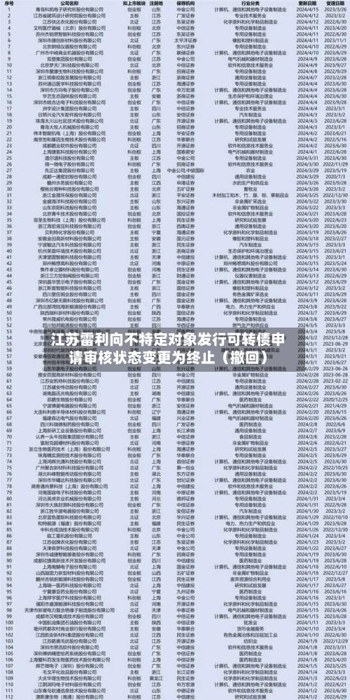 江苏雷利向不特定对象发行可转债申请审核状态变更为终止(撤回)-第3张图片
