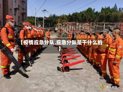 【疫情应急分队,应急分队是干什么的】-第2张图片
