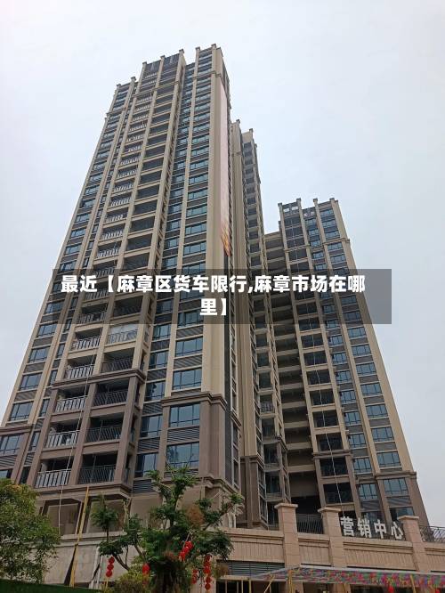 最近【麻章区货车限行,麻章市场在哪里】-第3张图片