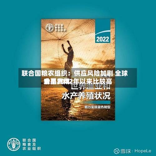 联合国粮农组织：供应风险加剧 全球食品费用升至2022年以来比较高水平