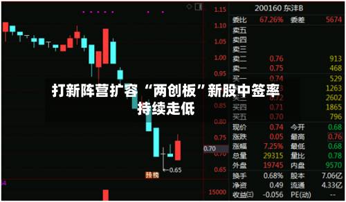 打新阵营扩容 “两创板”新股中签率持续走低-第2张图片