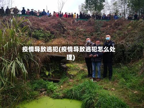 疫情导致逃犯(疫情导致逃犯怎么处理)