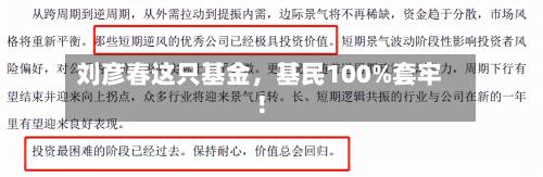 刘彦春这只基金	，基民100%套牢！-第3张图片