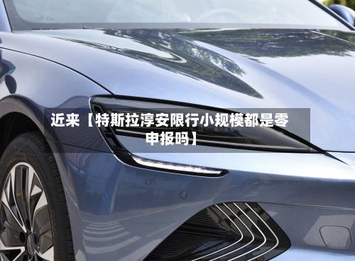 近来【特斯拉淳安限行小规模都是零申报吗】-第2张图片