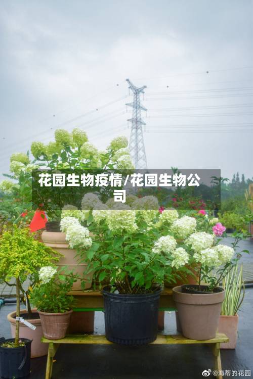 花园生物疫情/花园生物公司-第2张图片