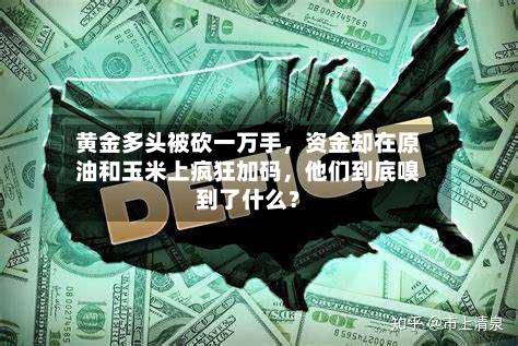 黄金多头被砍一万手	，资金却在原油和玉米上疯狂加码，他们到底嗅到了什么？-第2张图片