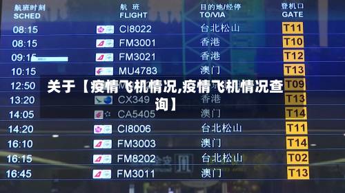 关于【疫情飞机情况,疫情飞机情况查询】