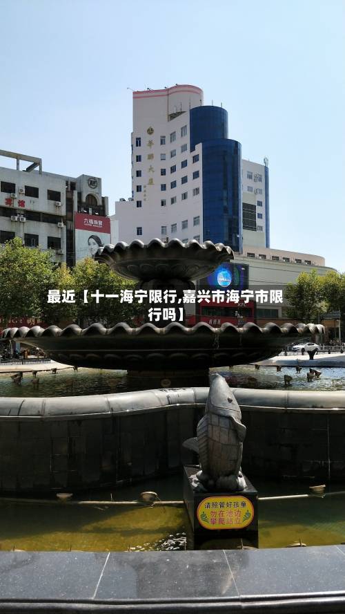 最近【十一海宁限行,嘉兴市海宁市限行吗】-第2张图片
