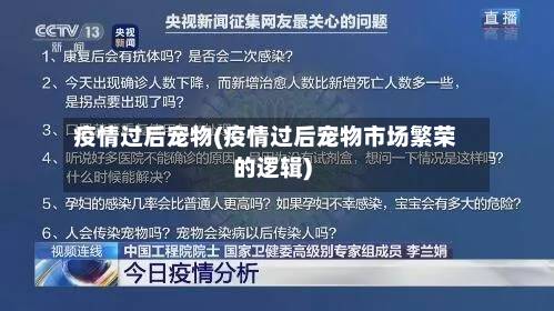 疫情过后宠物(疫情过后宠物市场繁荣的逻辑)