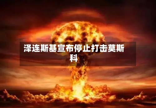 泽连斯基宣布停止打击莫斯科