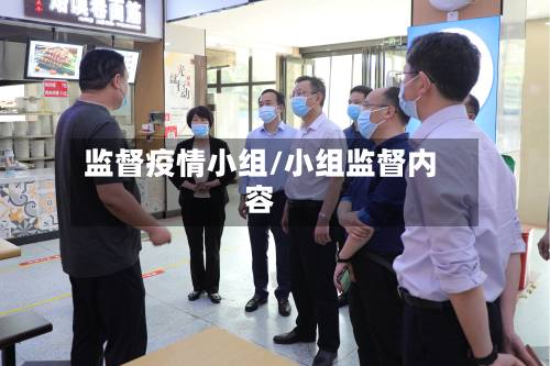 监督疫情小组/小组监督内容-第2张图片