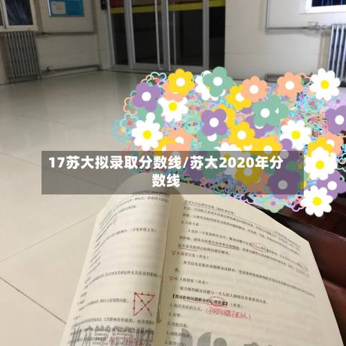 17苏大拟录取分数线/苏大2020年分数线-第2张图片
