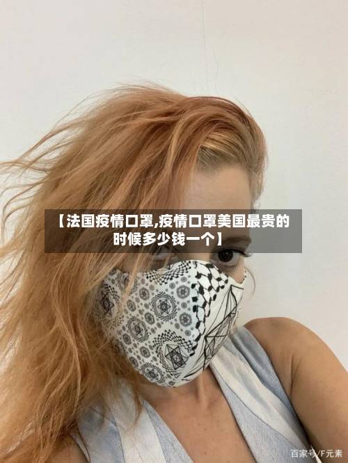 【法国疫情口罩,疫情口罩美国最贵的时候多少钱一个】-第2张图片