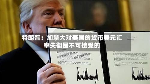 特朗普：加拿大对美国的货币美元汇率失衡是不可接受的