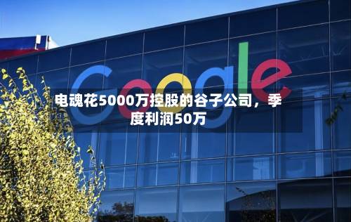电魂花5000万控股的谷子公司，季度利润50万-第2张图片
