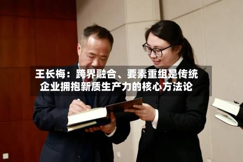 王长梅：跨界融合、要素重组是传统企业拥抱新质生产力的核心方法论-第2张图片
