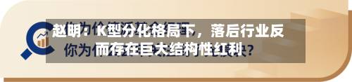 赵明：K型分化格局下，落后行业反而存在巨大结构性红利