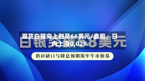 现货白银向上触及66美元/盎司，日内上涨0.02%-第2张图片