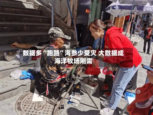数据多“跑路	”海参少受灾 大数据成海洋牧场刚需-第3张图片