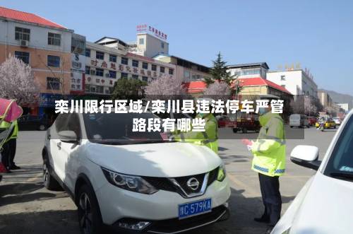 栾川限行区域/栾川县违法停车严管路段有哪些