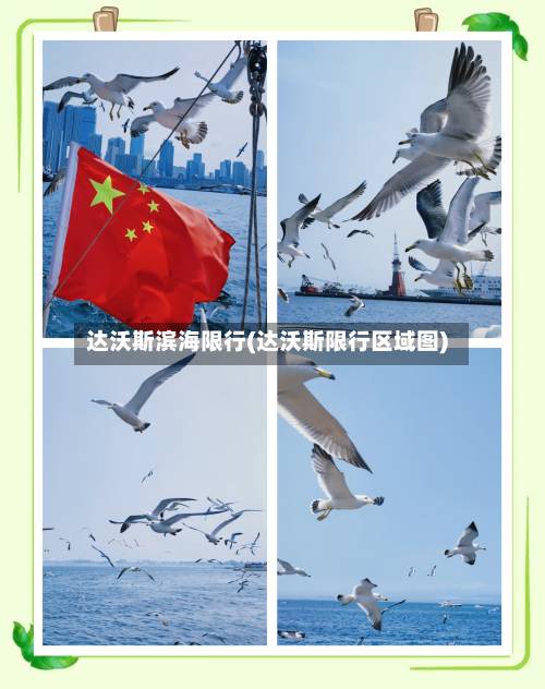 达沃斯滨海限行(达沃斯限行区域图)-第2张图片