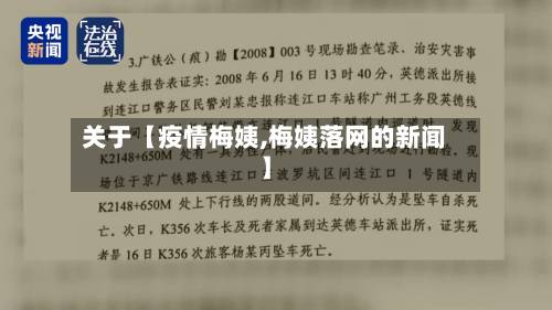 关于【疫情梅姨,梅姨落网的新闻】-第2张图片