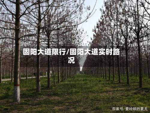 固阳大道限行/固阳大道实时路况-第2张图片