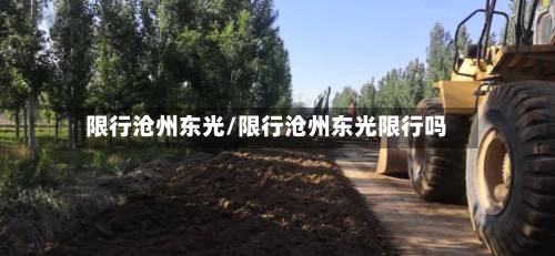 限行沧州东光/限行沧州东光限行吗-第2张图片
