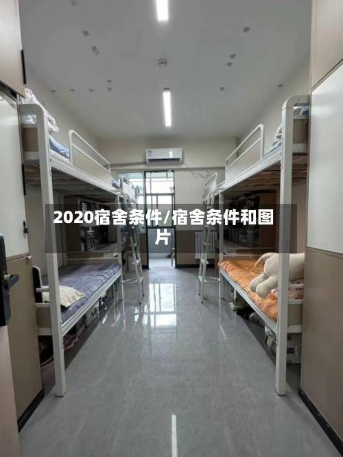 2020宿舍条件/宿舍条件和图片