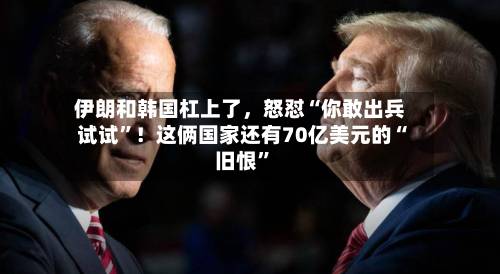 伊朗和韩国杠上了，怒怼“你敢出兵试试”！这俩国家还有70亿美元的“旧恨	”-第3张图片