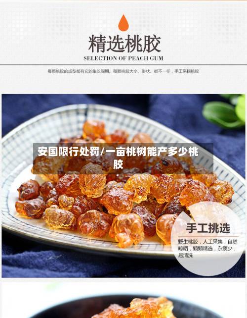 安国限行处罚/一亩桃树能产多少桃胶-第3张图片