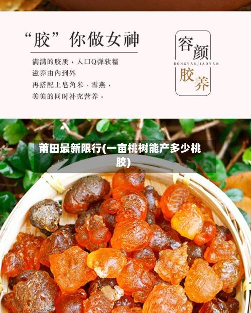 莆田最新限行(一亩桃树能产多少桃胶)-第3张图片