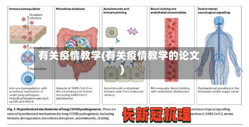 有关疫情教学(有关疫情教学的论文)-第3张图片