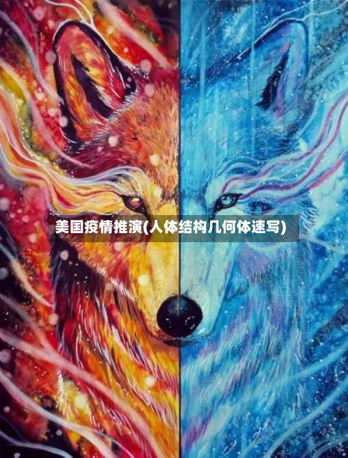 美国疫情推演(人体结构几何体速写)-第2张图片