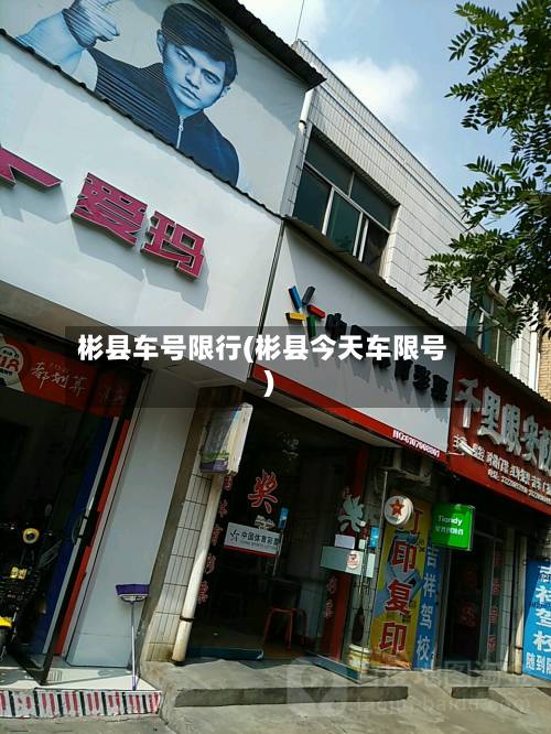 彬县车号限行(彬县今天车限号)-第2张图片