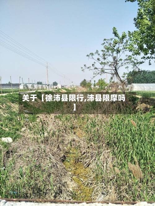 关于【徐沛县限行,沛县限摩吗】-第3张图片