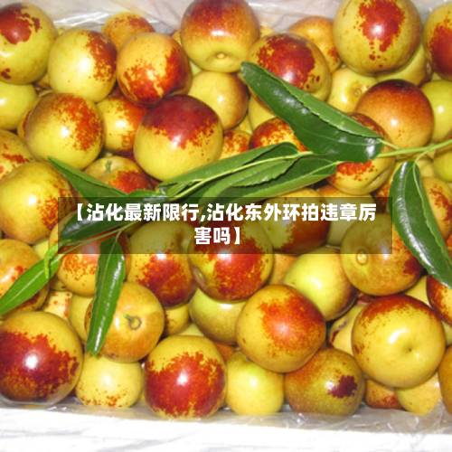 【沾化最新限行,沾化东外环拍违章厉害吗】-第3张图片