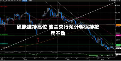 通胀维持高位 波兰央行预计将保持按兵不动