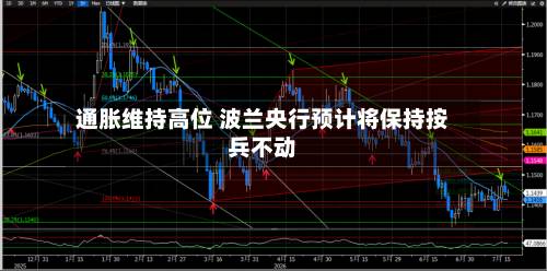 通胀维持高位 波兰央行预计将保持按兵不动-第3张图片