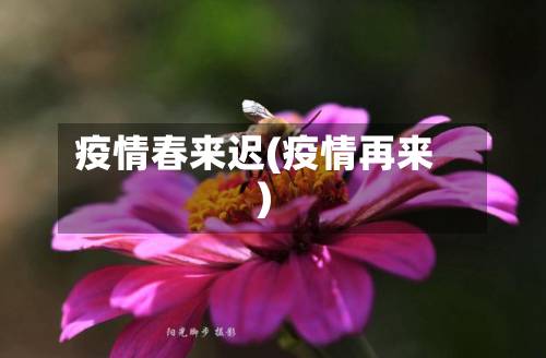 疫情春来迟(疫情再来)-第2张图片