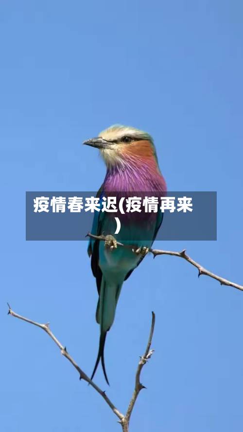 疫情春来迟(疫情再来)