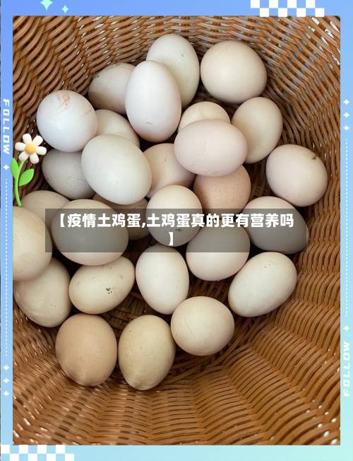 【疫情土鸡蛋,土鸡蛋真的更有营养吗】-第1张图片