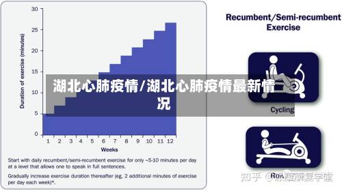 湖北心肺疫情/湖北心肺疫情最新情况-第2张图片