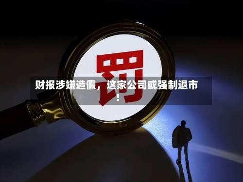 财报涉嫌造假，这家公司或强制退市！-第2张图片
