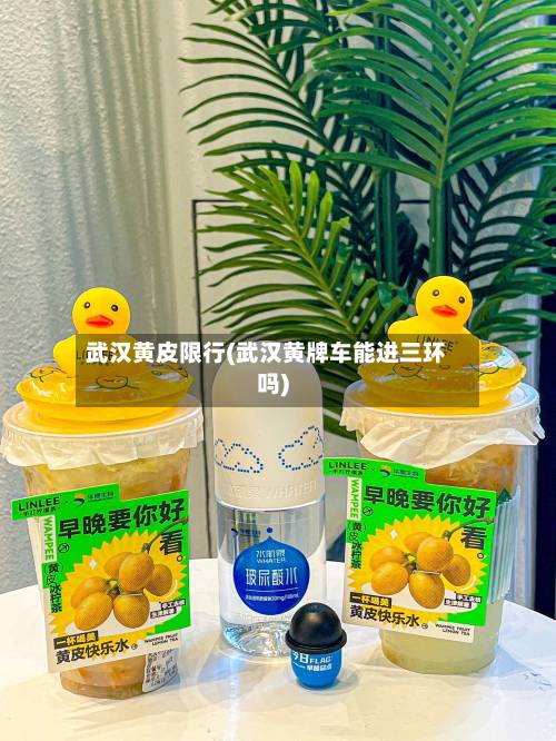 武汉黄皮限行(武汉黄牌车能进三环吗)