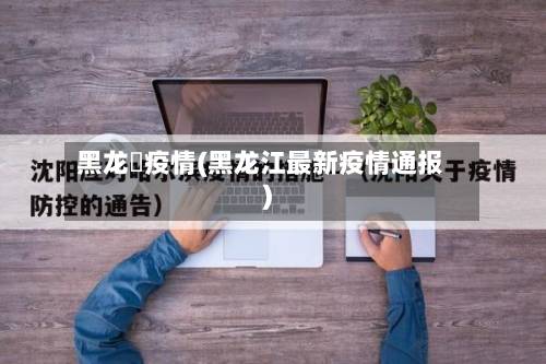 黑龙冮疫情(黑龙江最新疫情通报)-第2张图片