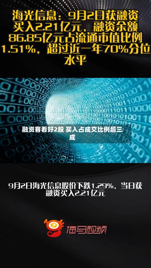 融资客看好2股 买入占成交比例超三成-第3张图片